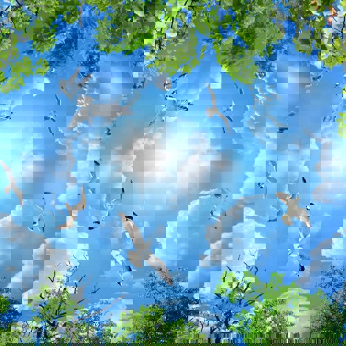 پوستر دیواری | پرده | روتختی | و...