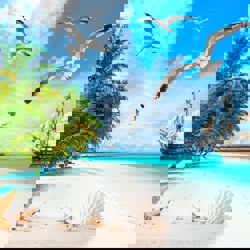 پوستر دیواری | پرده | روتختی | و...